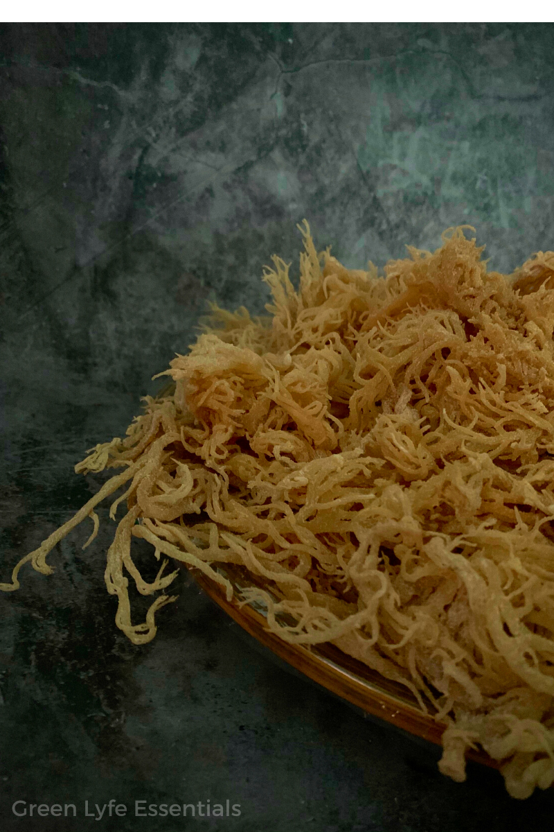 How To Make Sea Moss Gel No Heat Required That Green Lyfe